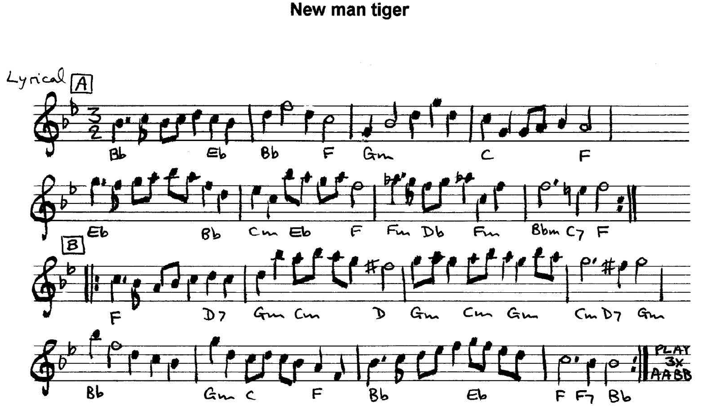 New Man Tiger (music)